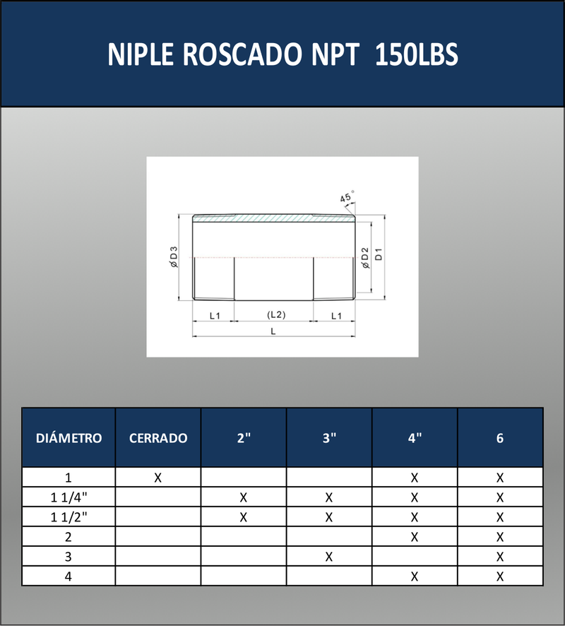 NIPLE NPT ROSCADO 150 Lbs T-304